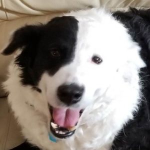 Meet your Posher, Don